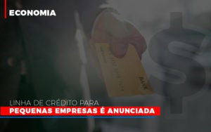Linha De Credito Para Pequenas Para Pequenas Empresas E Anunciada Notícias E Artigos Contábeis - Terceirização Financeira | Hands Financeiro